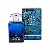 عطر جیبی مردانه برندینی مدل Interlude Iris حجم 33 میلی لیتر